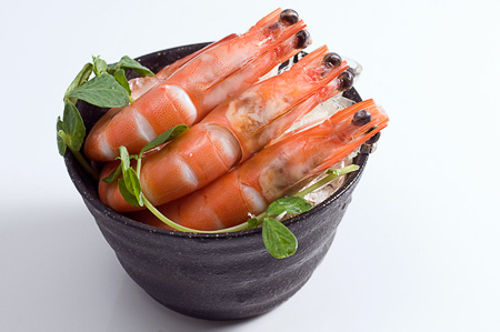 梅問題-攝影教學-美食攝影-拍出鮮甜肥美的活跳蝦