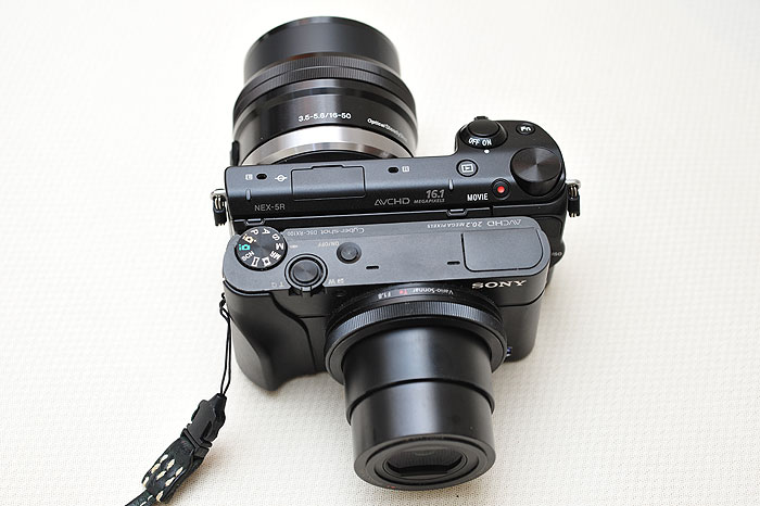 梅問題－Sony NEX 5RL(16-50mm)輕巧微單初體驗