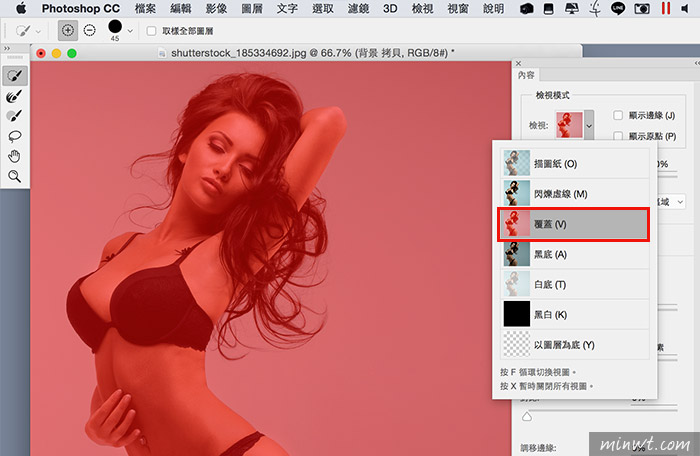 梅問題－Photoshop CC 2015.5限定!免外掛內建去背功能大進化，複雜的髮絲也能輕鬆搞定