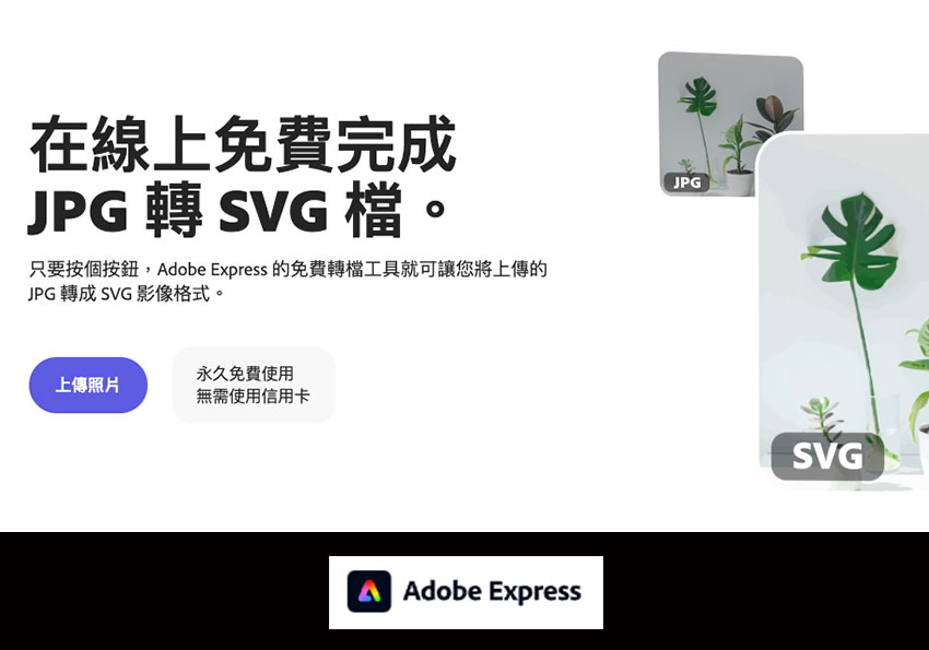 JPG變身SVG！使用Adobe Express在線工具，將JPG圖片變成SVG向量格式