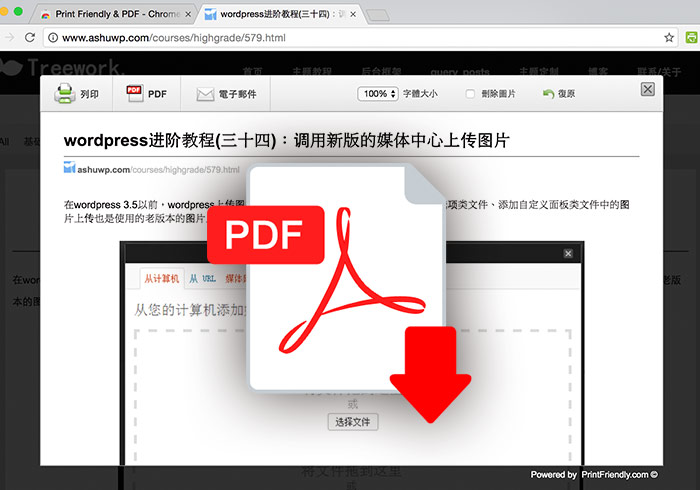 梅問題－Chrome外掛－「Print Friendly & PDF」一鍵快速將網頁轉換成PDF檔