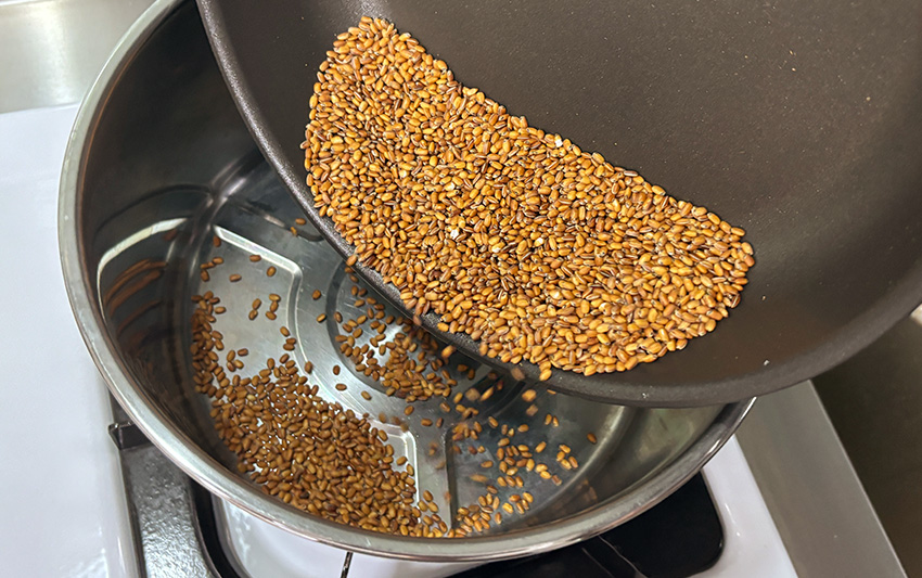 玄米茶自製指南:居家就能自炒玄茶,健康又無咖啡因