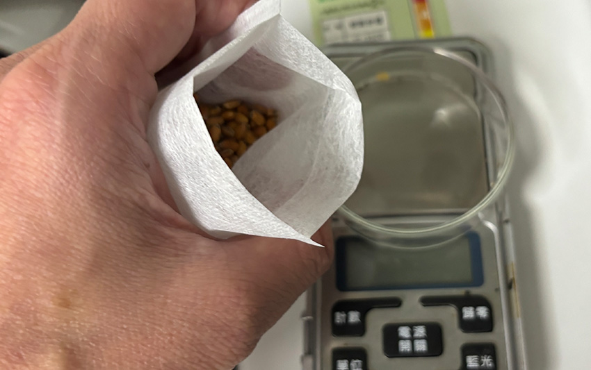 玄米茶自製指南:居家就能自炒玄茶,健康又無咖啡因