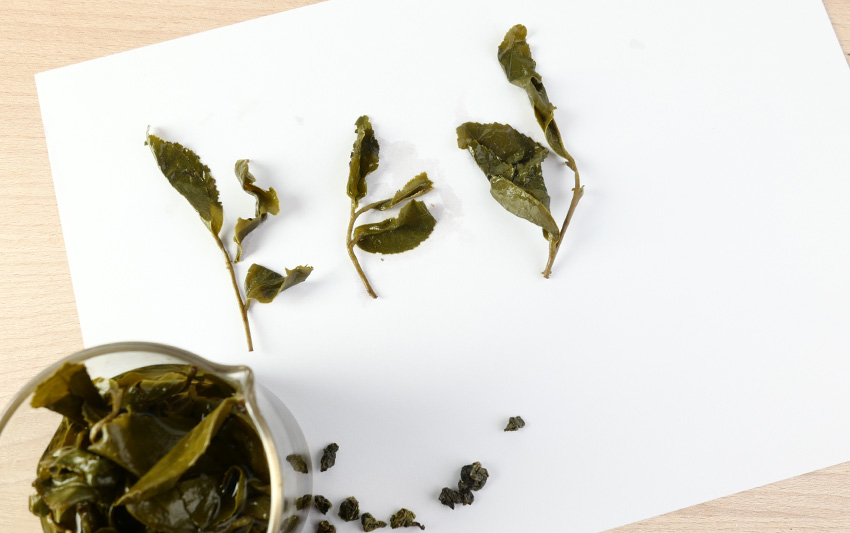 探索一心二葉的秘密:與對茶風味的影響和茶胺酸的含量