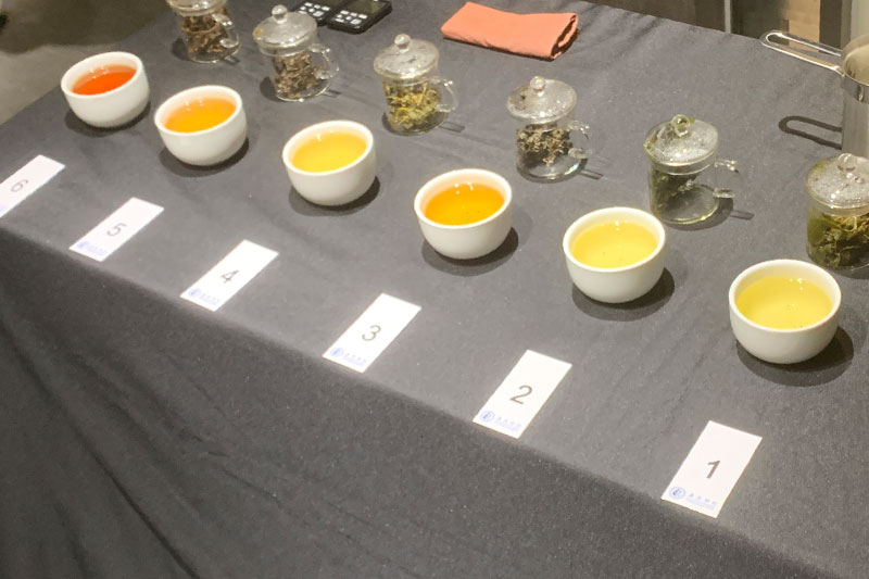 申時七茶－綠茶、紅茶、烏龍茶怎麼區分，透過圖說讓你快速了解