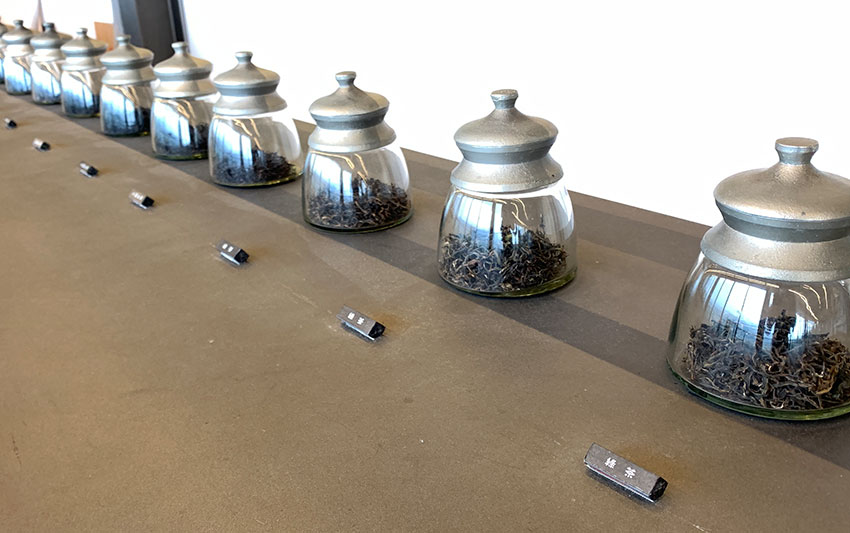 申時七茶－東方美人的故鄉！銅鑼茶廠來趟台茶樹品種的特性與風味之旅