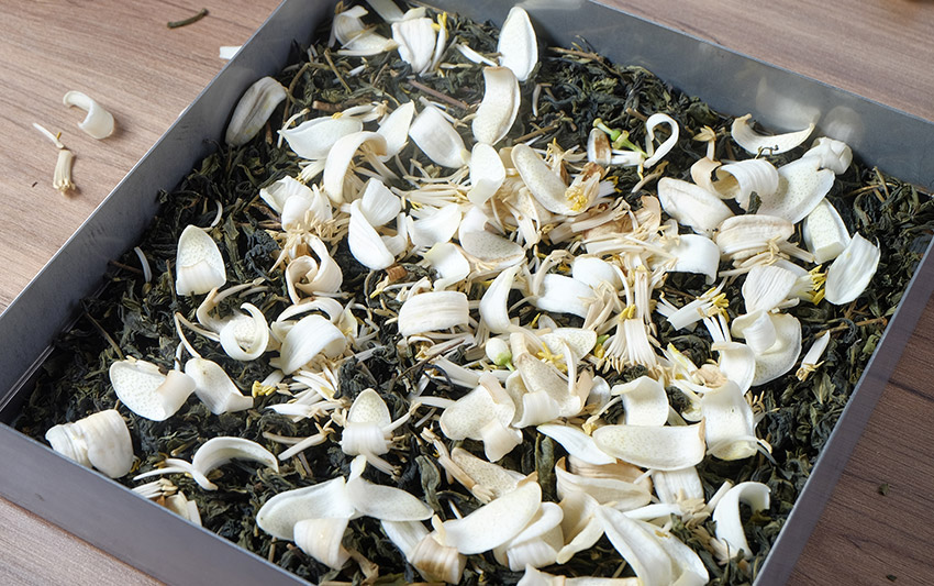 申時七茶－三月正是柚花綻放季節，以窨製的工法將柚香宜人香氣與綠茶融合