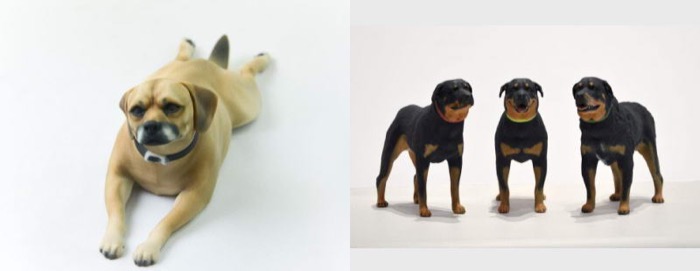 梅問題-3D列印寵物公仔PetPrints3D