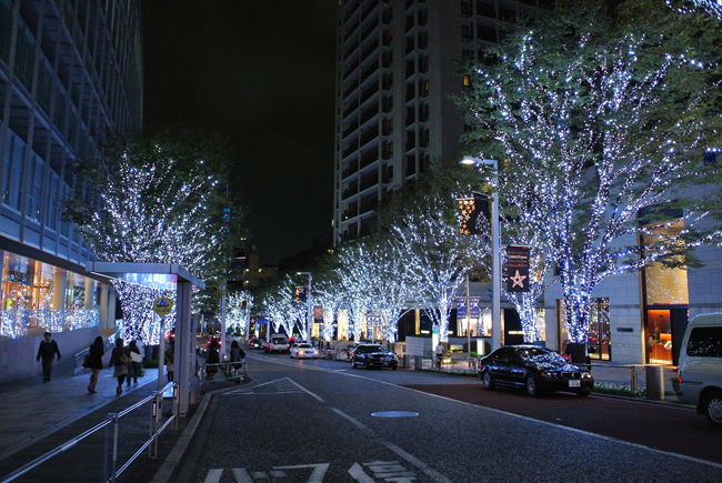 梅問題－攝影器材分享－Nikon V1東京聖誕特集