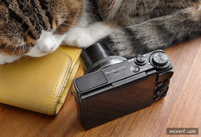梅問題－《Canon G7X》1吋感光輕巧隨拍口袋機