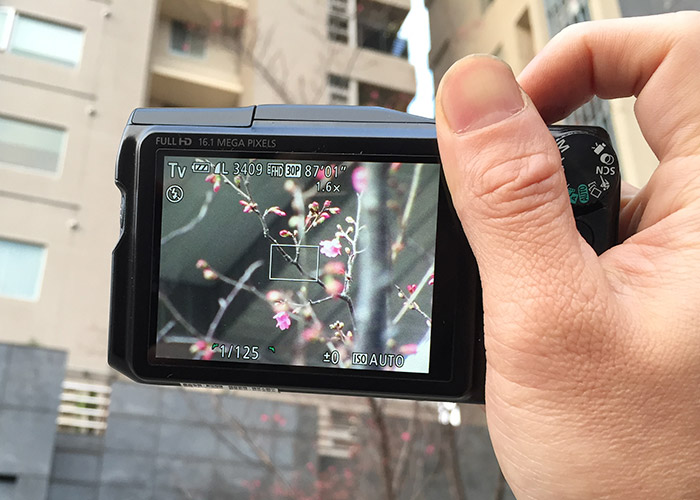 賞櫻季!「Canon SX700HS」五軸防手震、30倍光學變焦，拍櫻花利器