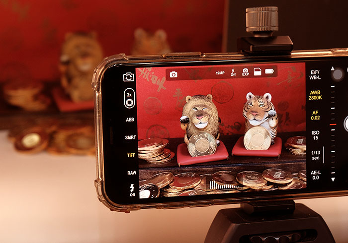 「手機攝影-生活用品」拍出閃亮亮金幣，野生招財大貓迎新春