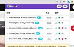 FetchV 萬用串流影音下載器，支援HLS/m3u8/mp4/blob格式