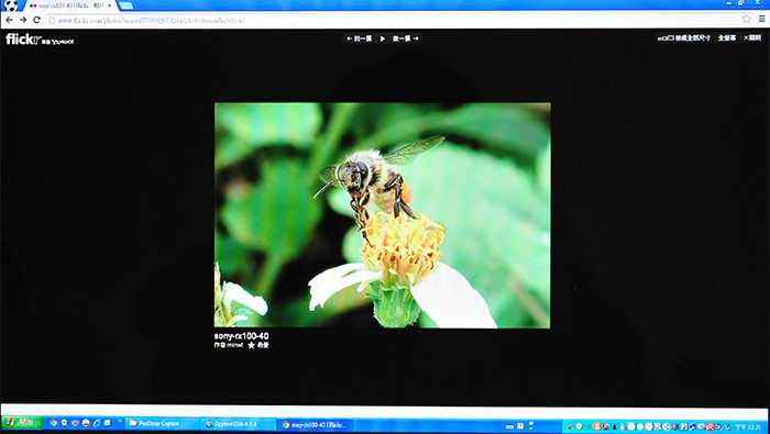 梅問題－校色器－Spyder4 Elite 紅蜘蛛螢幕校色器－LCD篇