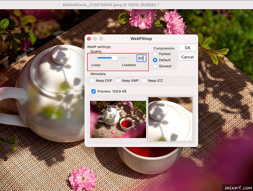 梅問題-Adobe Photoshop外掛！讓Photoshop支援WebP格式，與儲存無損壓縮的webp的檔案格式