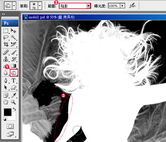 梅問題-photoshop教學-複雜背景頭髮去背
