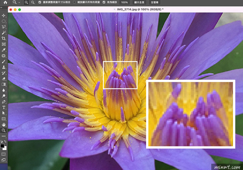 梅問題-Photoshop 演算法再強化，新增了保留細節2.0，放大影像還能保有自然的影像