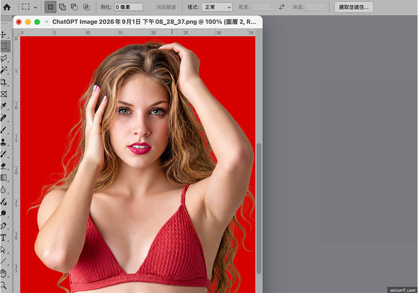 梅問題-不用 Photoshop！ChatGPT 只需出一張嘴，照片去背連毛髮、玻璃都能輕鬆搞定