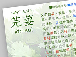 芫荽「香菜」字型以優雅仿宋字體架構為主，並且可商用免費下載