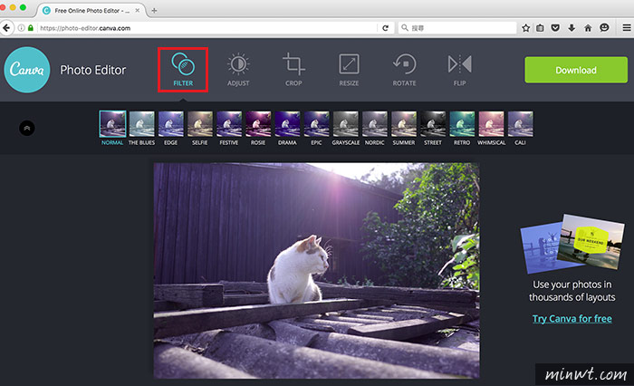 梅問題－Canva Photo Editor免費線上簡易圖片編輯平台，特效、裁切、縮放....一應具全