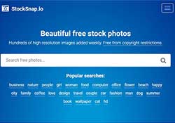 [素材]StockSnap.io 免費可商用高解析圖庫，無限量下載