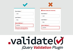 [jQuery外掛] jquery.validate 萬用表單檢測器，並可自訂錯誤提示詞