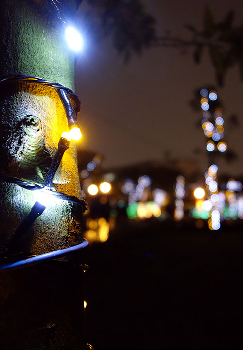 梅問題－活動-2013台北花燈在花博聖大展出