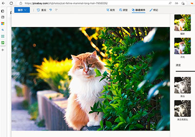 Microsoft Edge 內建照片編輯器的功能，無論是圖片裁切、調色、濾鏡特效一次搞定