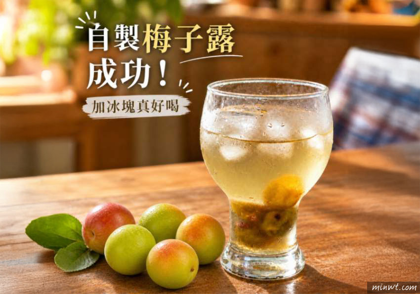梅問題-懶人版自製 Q 梅／梅子露，免殺青、免日曬，用電鍋輕鬆完成