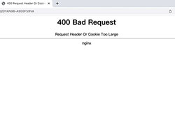 如何修復瀏覽網頁時，出現的400 Bad Request錯誤狀態