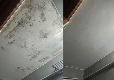 浴室天花板發霉！快速、簡單的方法教你如何除霉並恢復浴室天花板的原本雪白色彩