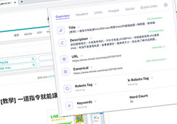 [外掛] Detailed SEO Extension透過Chrome瀏覽器外掛，一鍵快速幫網站的SEO做健檢