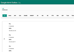 Google Toolbox Dig 線上 DNS 查詢器：免輸指令，簡單快速查詢 DNS 紀錄！